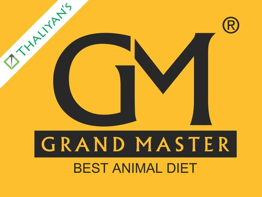 grand-master